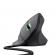 Mouse trust gxt 144 rexx 10000 dpi, ng