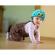 Casca protectie bebelusi cu spuma flexibila, ultrausoara, reglabila, 7-24 luni, albastra, safehead baby owl