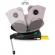 Scaun auto chipolino olympus i-size 40-150 cm macadamia cu sistem isofix