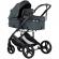 Carucior copii 2 in 1 chipolino amore basil