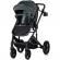 Carucior copii 2 in 1 chipolino amore basil