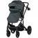 Carucior copii 2 in 1 chipolino amore basil