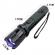 Lanterna led cu descarcare electrica, 1000kv, 10w, cu accesorii