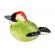 Pasare cu sunet ciocanitoare verde - green woodpecker