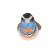 Pasare cu sunet privighetoare gusa vanata - bluethroat