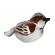 Pasare cu sunet vrabiuta - house sparrow
