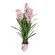 Planta artificiala premium orhidee h 150 cm