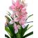 Planta artificiala premium orhidee h 150 cm