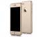 Husa 360 grade cu geam inclus iphone 5/5s/se,gold