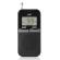 Radio de buzunar portabil jvc ra-e411b, afisaj lcd, tuner digital fm/am, negru