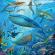 Puzzle lumea subacvatica 3x49 piese ravensburger