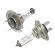 Set 2 becuri auto halogen h7, 140w/set, 24v, px26d, 3500k