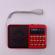 Radio, portabil, acumulator, bluetooth, card sd, usb 2.0, mp3, ecran led, rosu