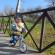 Bicicleta fara pedale, cadru nailon, roti pu, kidwell nix - gri