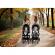Carucior sport pentru copii, 78 x 33 x 104 cm, nukido paseo, gri
