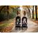Carucior sport pentru copii, 78 x 33 x 104 cm, nukido paseo, roz