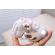 Adidasi crem cu alb cu luminite (marime disponibila: marimea 29)