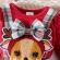 Sarafan cu body visiniu maneca lunga - baby reindeer (marime disponibila: 12-18