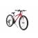 Pegas mini drumet 24'' rosu alb