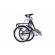 Pegas practic retro 20'' otel 1s negru
