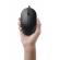 Dl mouse laser wired ms3220 bk