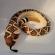 Jucarie plus sarpe western diamondback wild republic 141 cm