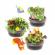 Set creativ - casuta cu gradina din copac