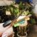Set de 2 clame clips - pepene si floricele