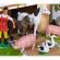 Ferma din lemn eichhorn 39x36x14 cm cu accesorii