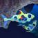 Joc magnetic de construit clixo - animalute marine 24 piese