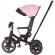 Tricicleta cu copertina si sezut reversibil chipolino derby flamingo