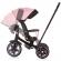 Tricicleta cu copertina si sezut reversibil chipolino derby flamingo