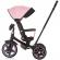 Tricicleta cu copertina si sezut reversibil chipolino derby flamingo