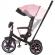 Tricicleta cu copertina si sezut reversibil chipolino derby flamingo