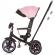Tricicleta cu copertina si sezut reversibil chipolino derby flamingo