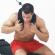 Ham ab ach-18 body-solid,
