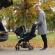 Scoica auto zeno i size hamilton black