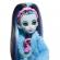 Monster high papusa creepover party frankie