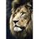 Puzzle trefl 1500 leu portret