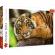 Puzzle trefl 500 portretul tigrului