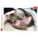 Puzzle trefl 1000 pisicuta vesela