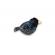 Pasare cu sunet graur - starling