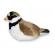 Pasare cu sunet prundaras gulerat mic - ringed plover