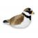 Pasare cu sunet prundaras gulerat mic - ringed plover
