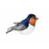 Pasare cu sunet randunica - barn swallow
