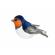 Pasare cu sunet randunica - barn swallow