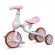 Bicicleta copii cu roti ajutatoare ecotoys lc-v1311 - roz