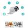 Sistem de supraveghere jortan, 8 camere, hdmi, wireless