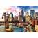 Puzzle trefl pisicute la new york 1000 piese