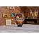 Harry potter puzzle 4d harry potter 87 piese